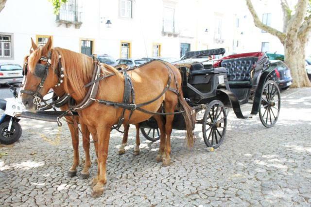 Casa Dos Moinhos Velhos Villa Brinches Bagian luar foto